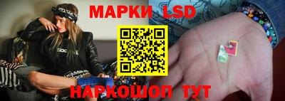 винт Бердск