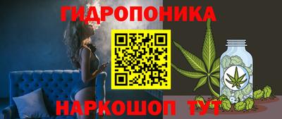 стаф Белореченск