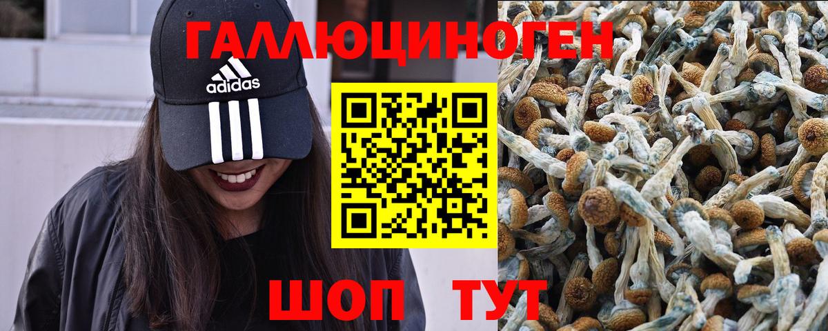 Галлюциногенные грибы прущие грибы  закладка  Кинель  Вход с VPN  Псилоцибиновые грибы мухоморы 