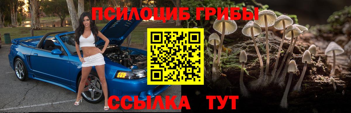 Галлюциногенные грибы мухоморы Кинель